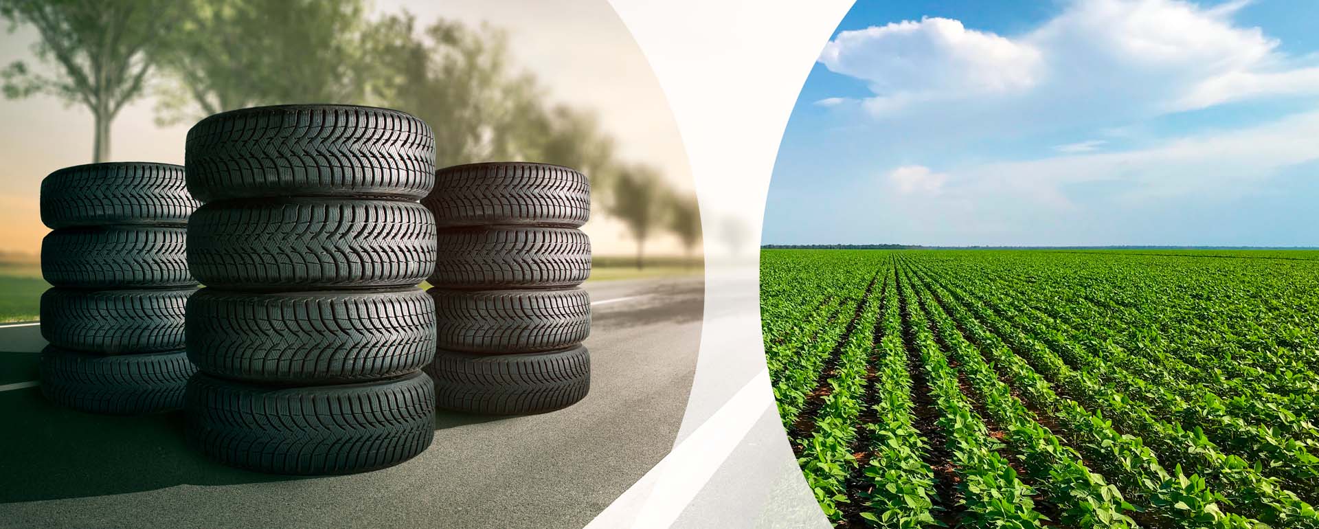 NEWS_5-SynthosKumho_Tire_partner_on_biobutadiene_tyre_materials.jpg